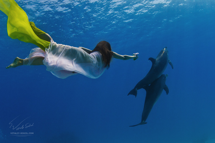 Твои полеты в моих снах. dolphins, red sea, underwater, model, fabric, flower