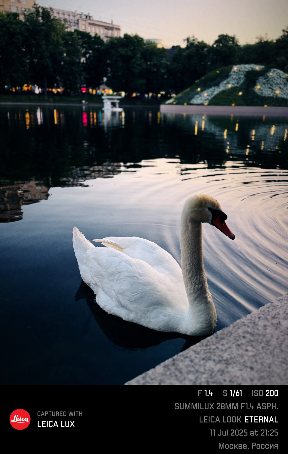 Patriarch ponds 