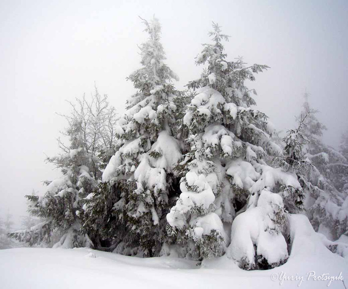 The beauty of nature #1 природа пейзаж зима nature landscape winter