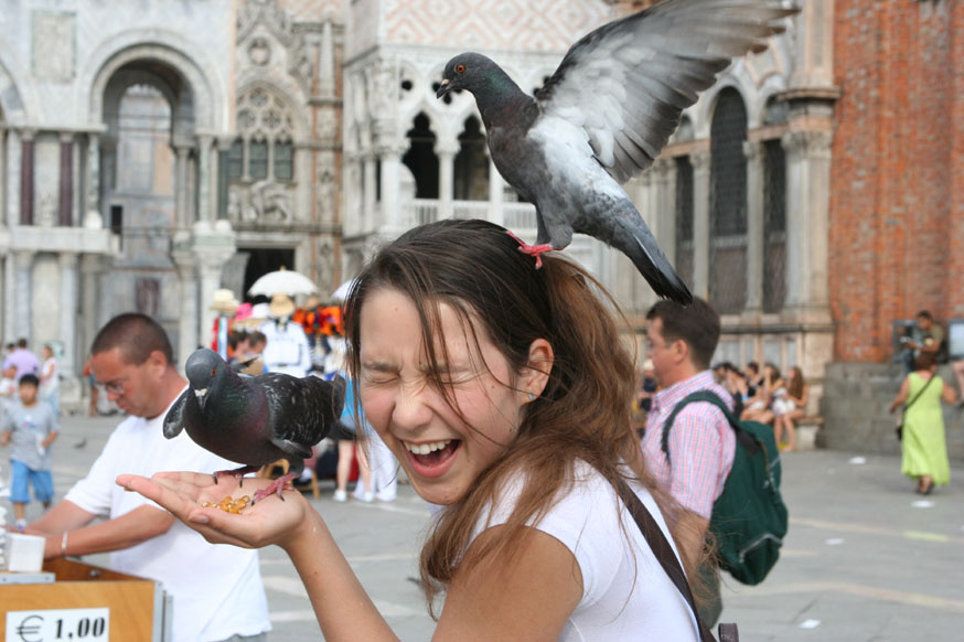scream bird