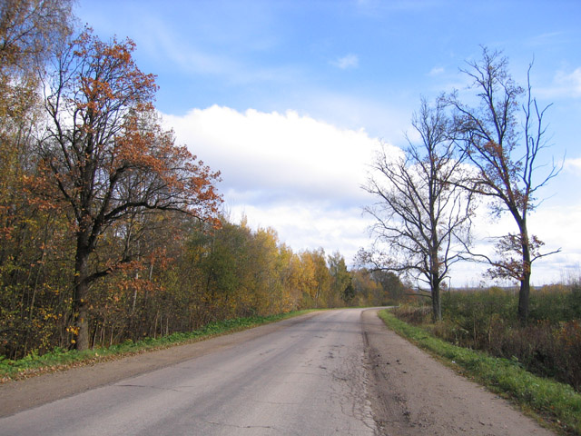 по дороге домой 