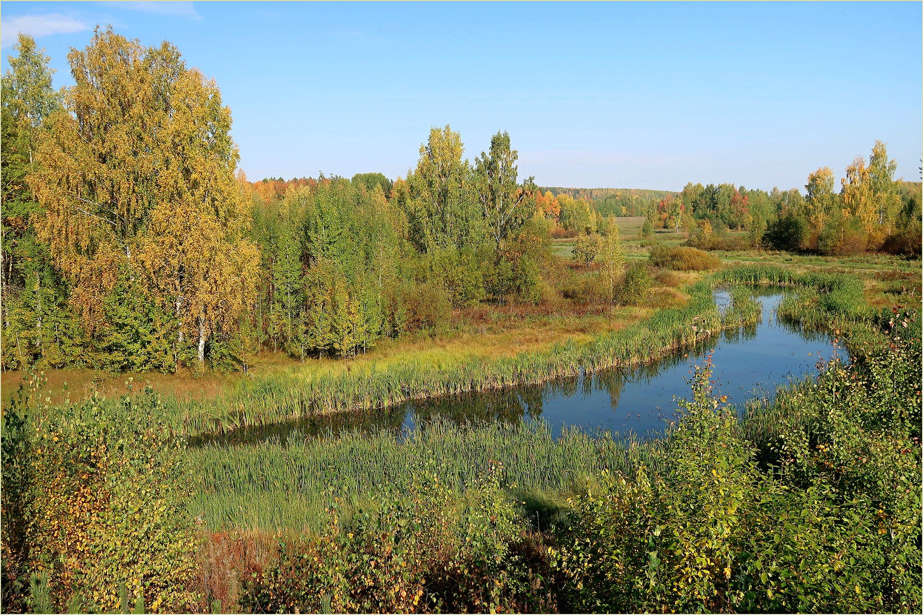 ***Осенняя пора 
