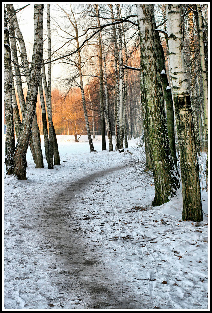 Зимняя тропинка . Лес.