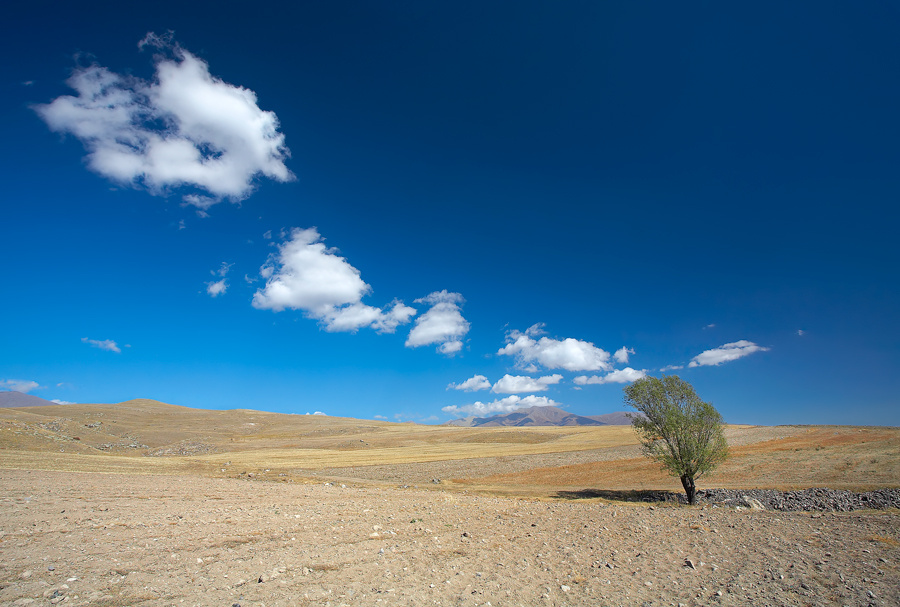 Armenia 