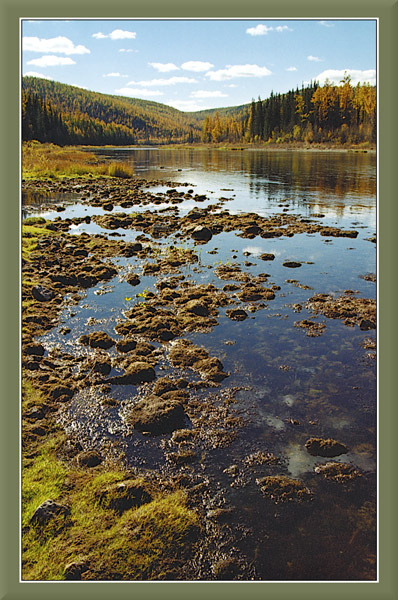 Р. Пеледуй река вода тайга