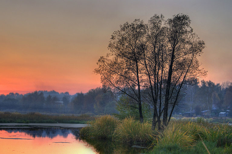 Закат и дерево вечер, река, HDR, закат, дерево