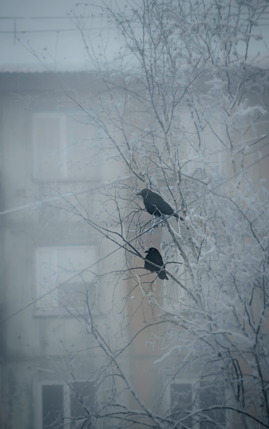 -42 туман. В ожидании тепла 