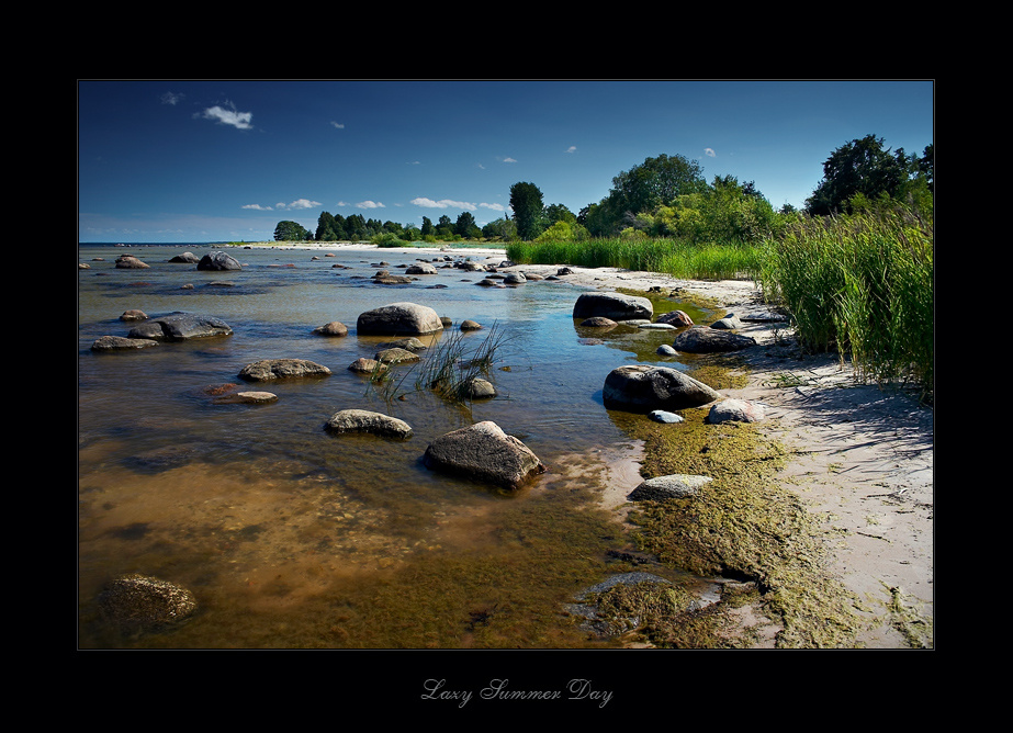 ~ Lazy Summer Day ~ 