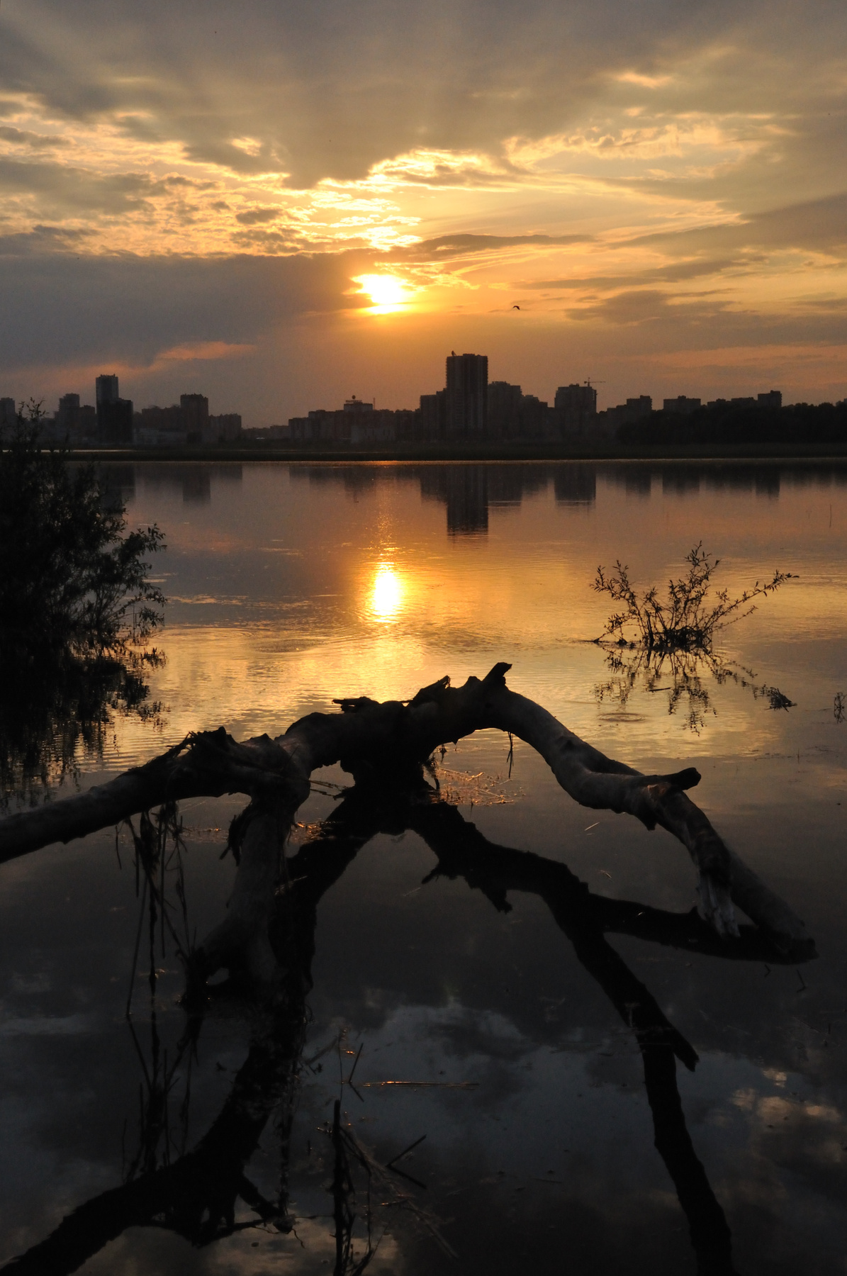 *** казань, закат, река, дерево
