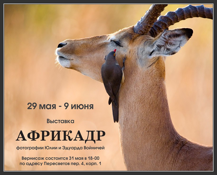 Вернисаж 