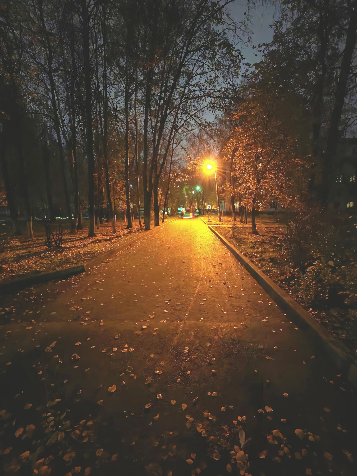 парк 