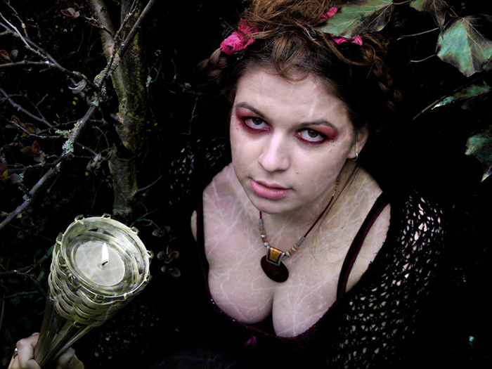 Wild Witch Chase Wild Witch Chase