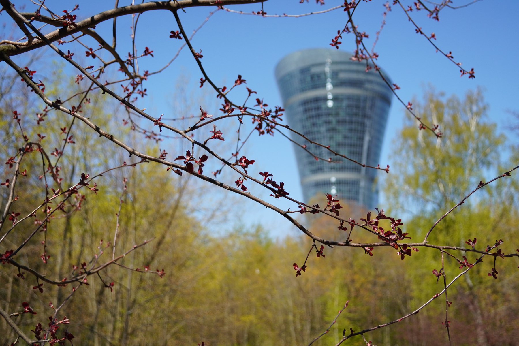 Ранняя весна в Городе 