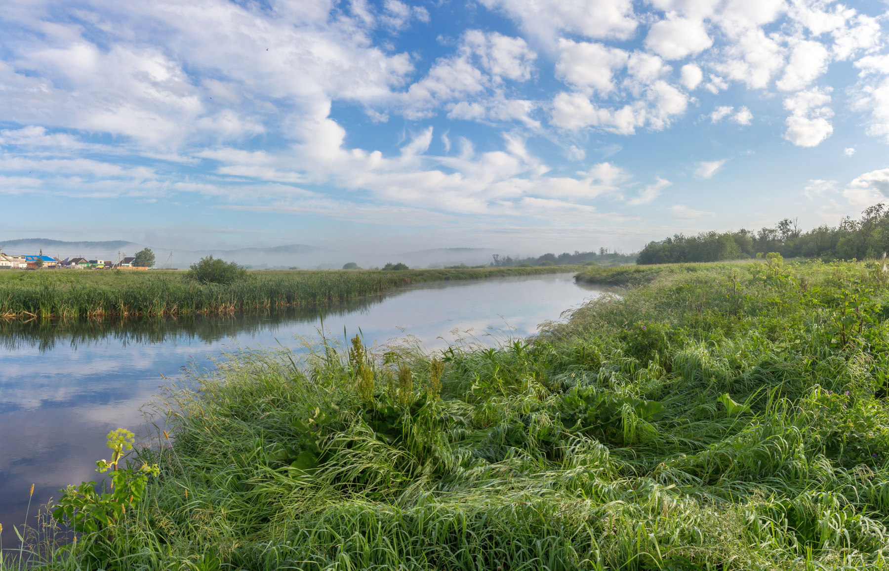 Летнее утро на реке Миасс. г. Миасс, Машгородок. Южный Урал Миасс Машгородок Природа Лето