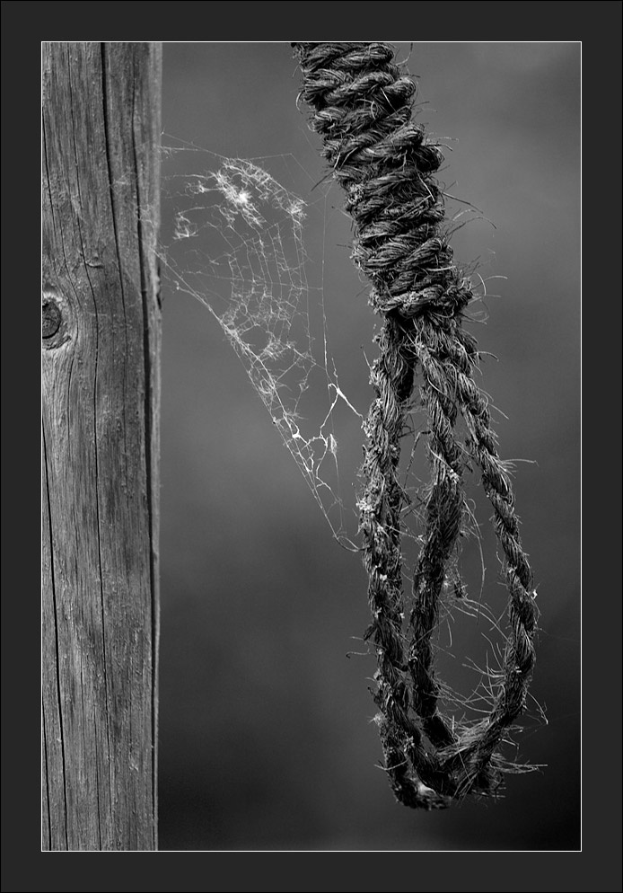 последний приют... the last shelter