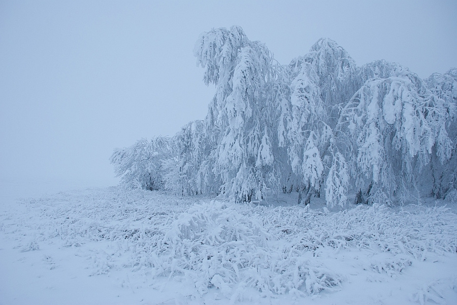 Тройка с бубенцами 
