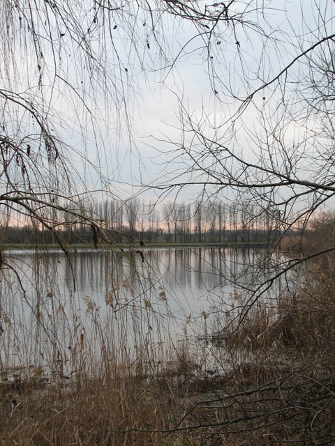 Река река