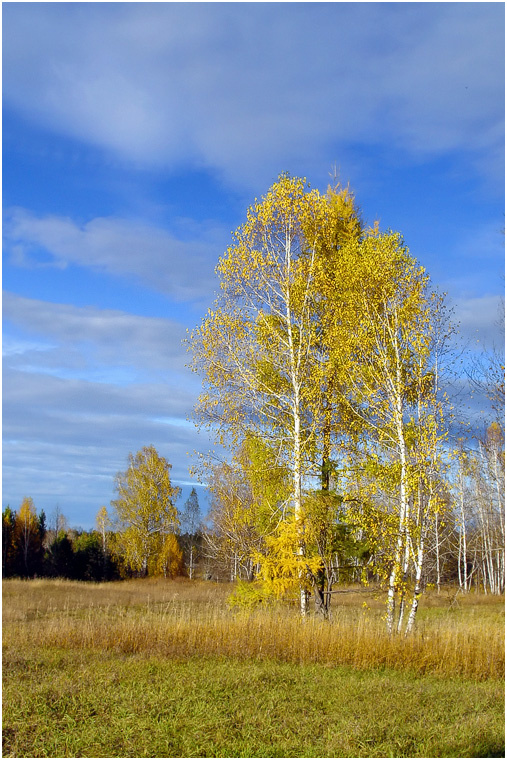 Осенняя палитра. 