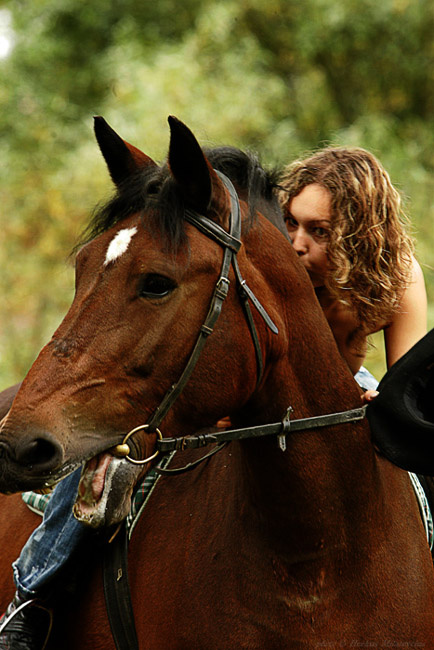 Horsewhishperer sigulda sofi konj