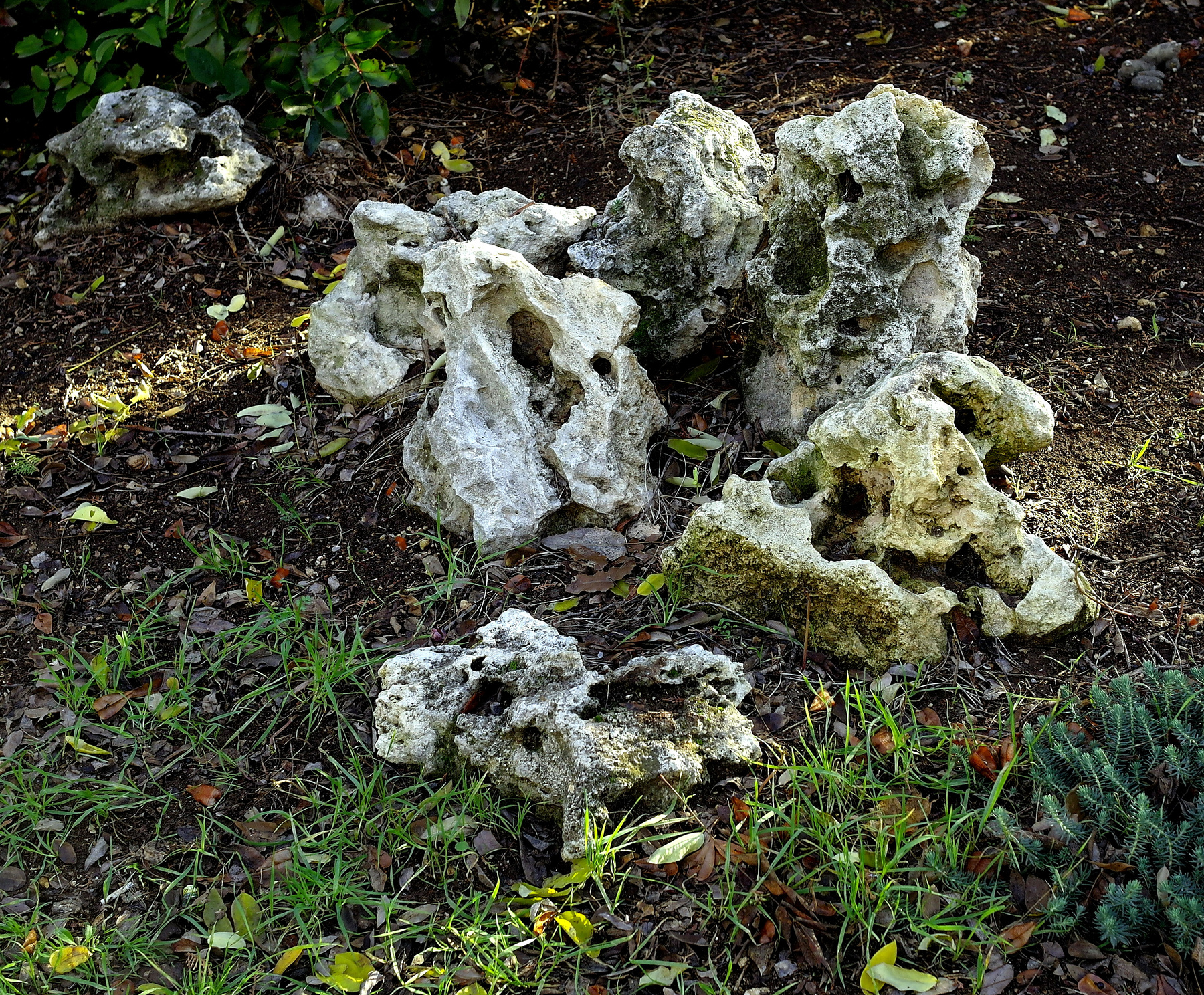 Кости камней. Декабрь,старые камни,Крым.