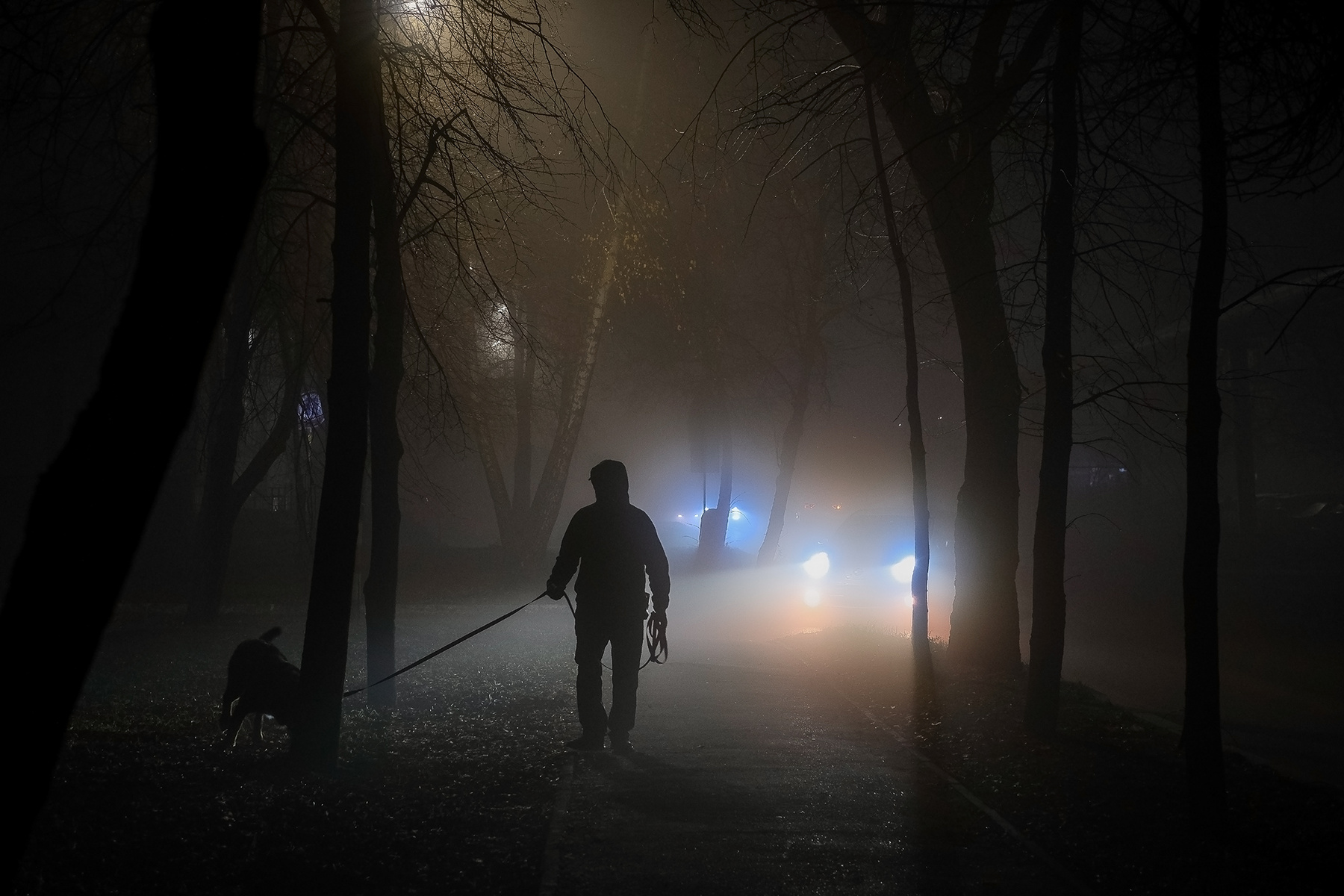 Ночной променад... Ноябрь город улица ночь туман