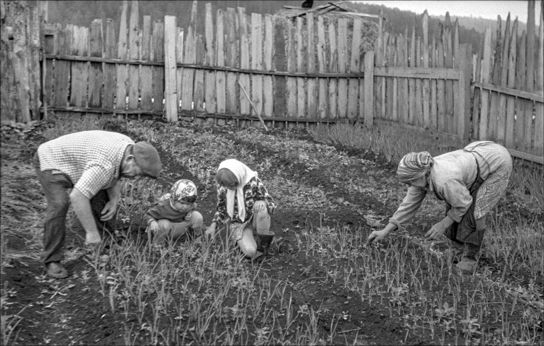 МАСТЕР КЛАСС 73 деревня село огород дети девочки дед баба