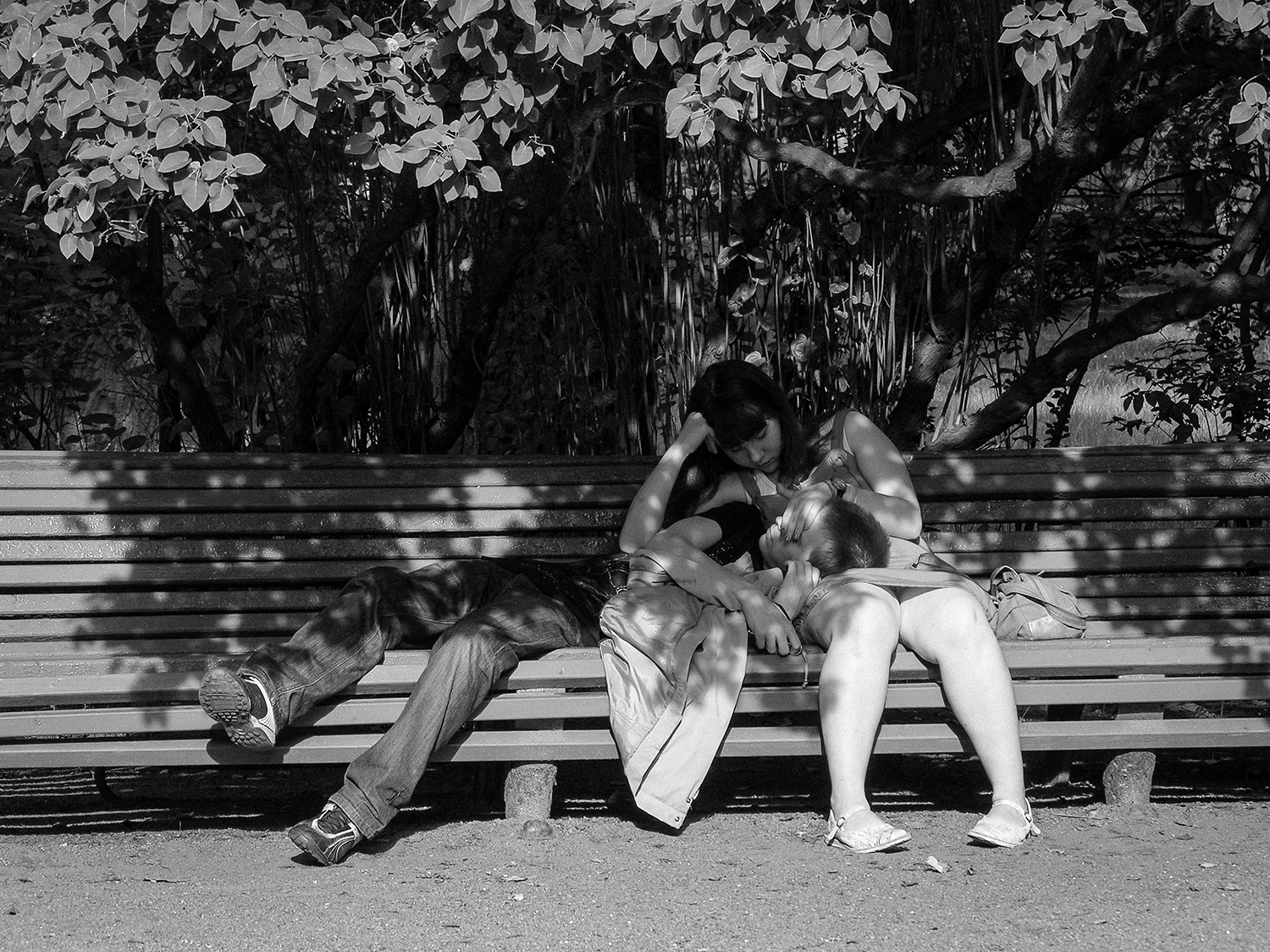 в тени 