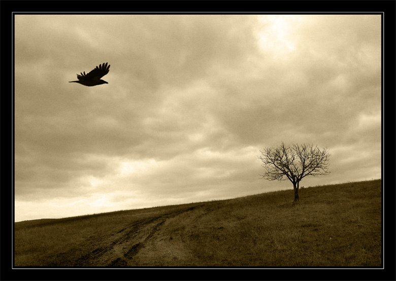 Migration... 