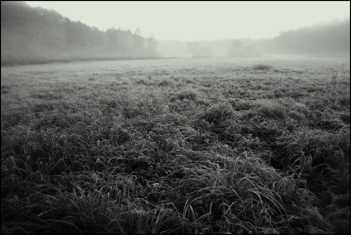 ghost field 