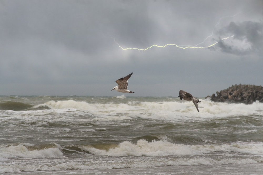Der Sturm 