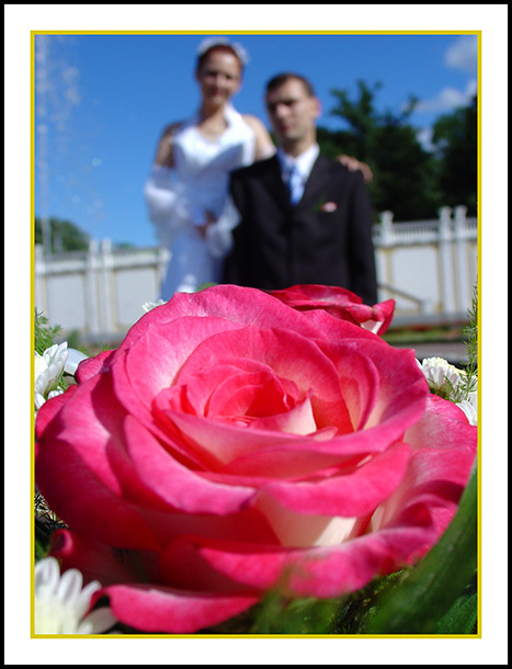 just married 