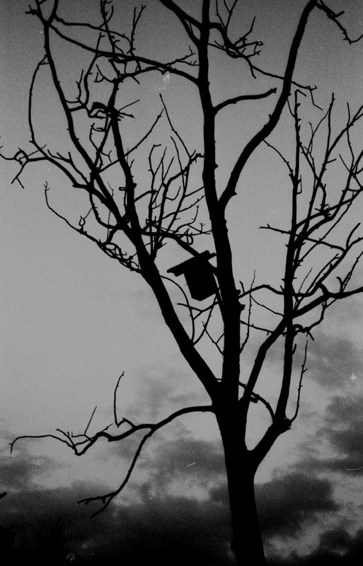 осень идёт 