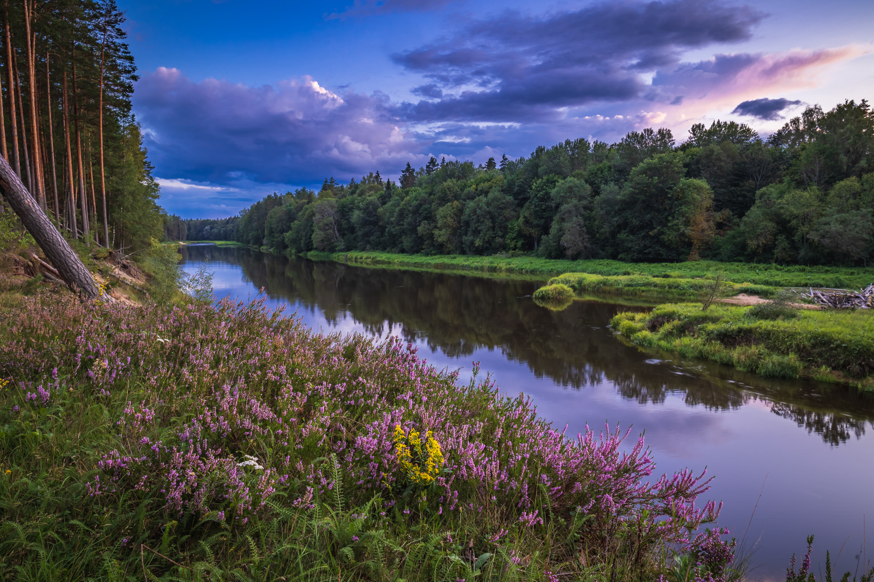 р. Gauja 