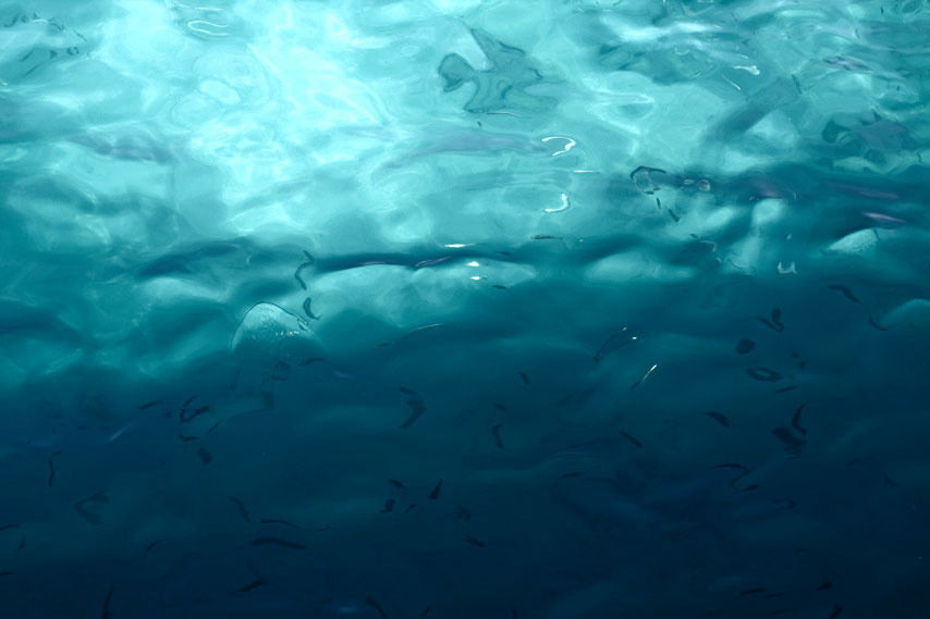 Красное море 