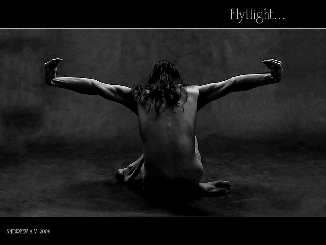 Продолжение темы ShadowDancer - \"FlyHigh!\" 