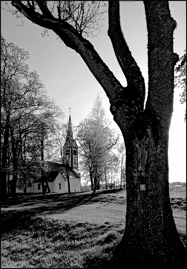 Кримулда 
