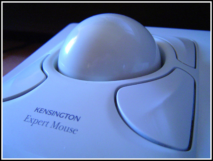 крыса Mouse