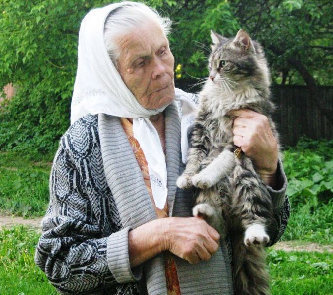 Где шлялся? Кот, бабушка
