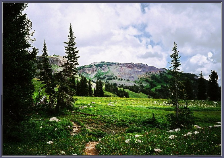 О суровой красе субальпийского пояса Горы деревья Гранд Титон Grand Teton National Park
