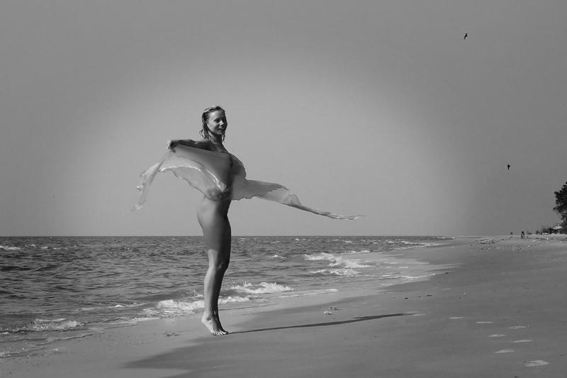 Like a bird no words can say