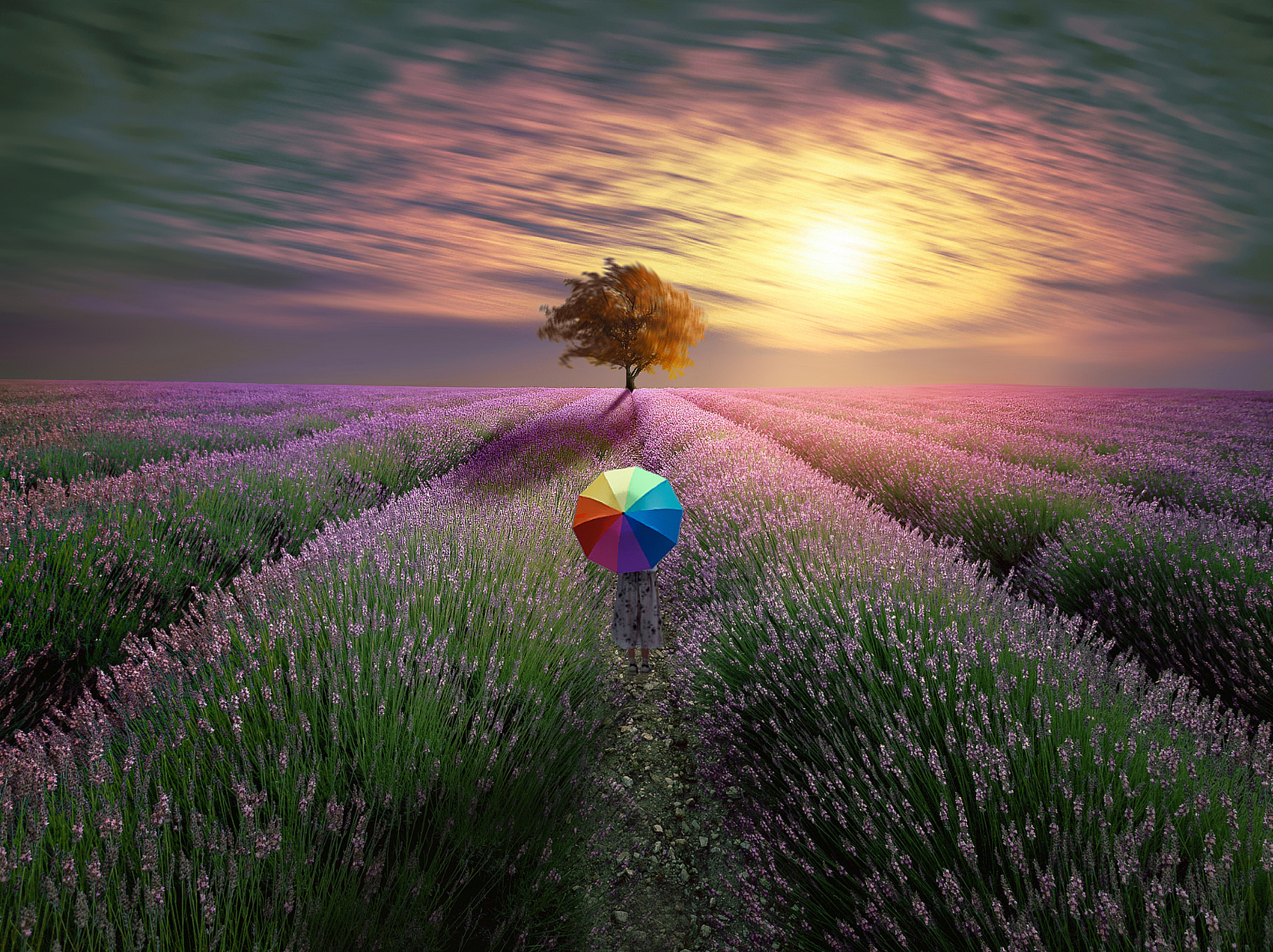 Burning digital art.person.sunset dream.magical.umbrella girl tree lavender field