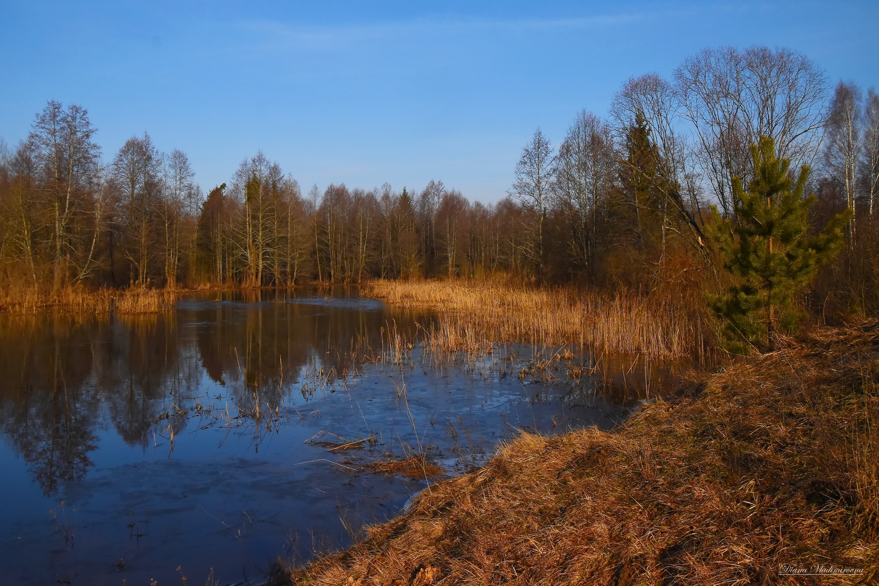 РАЗЛИВ. пейзаж река природа разлив весна