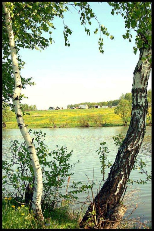 ...лежать под солнцем на траве и взглядом гладить воду... ..лежать под солнцем на траве и взглядом гладить воду...