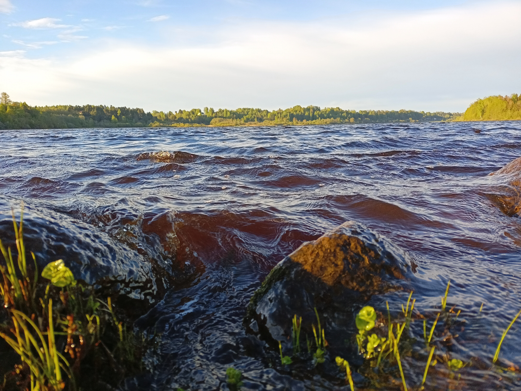 вода как янтарь вода река янтарь