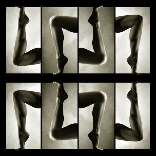 -multiplication- multiplication leg