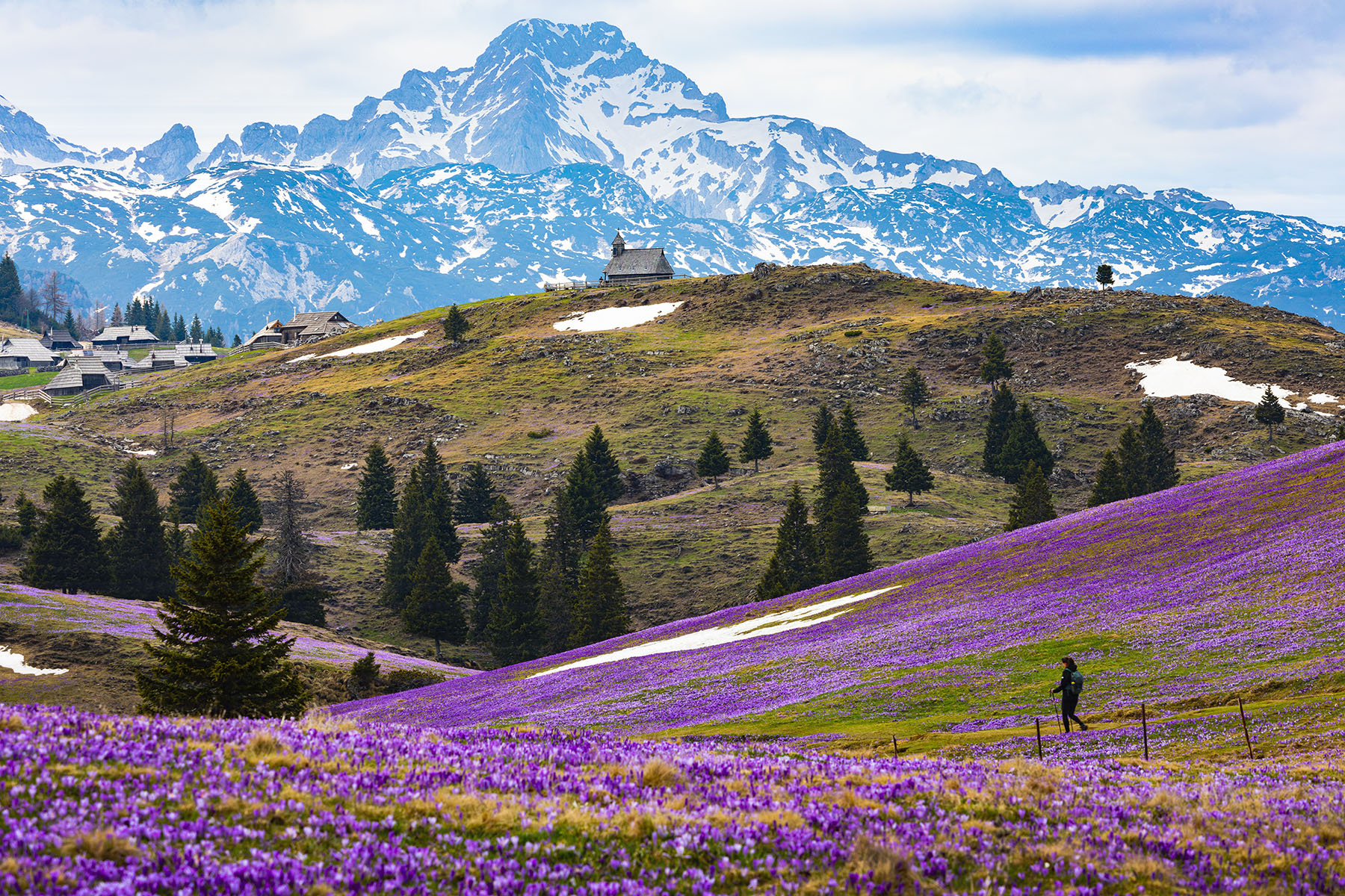 Высокогорное пастбище словения велика планина альпы alps slovenia velika planina