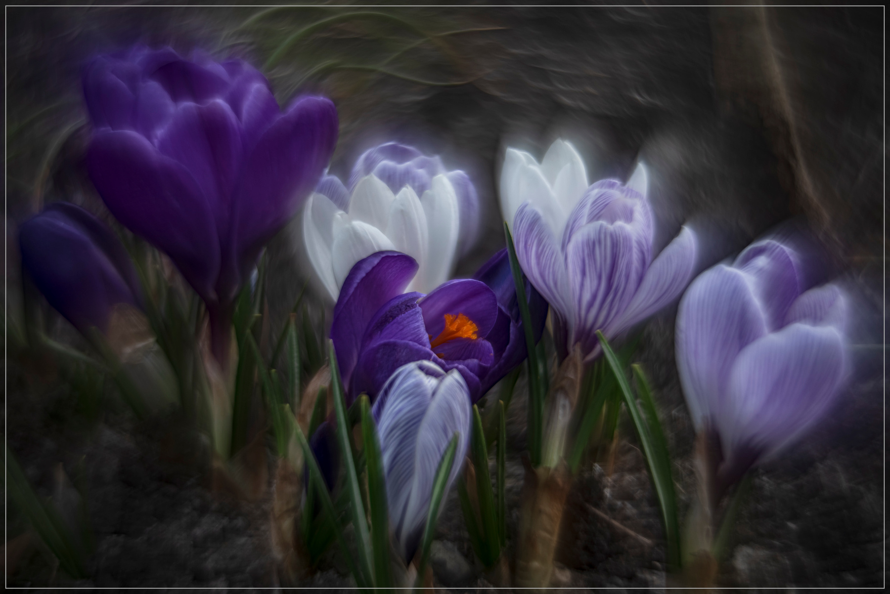 Весенний букет природа