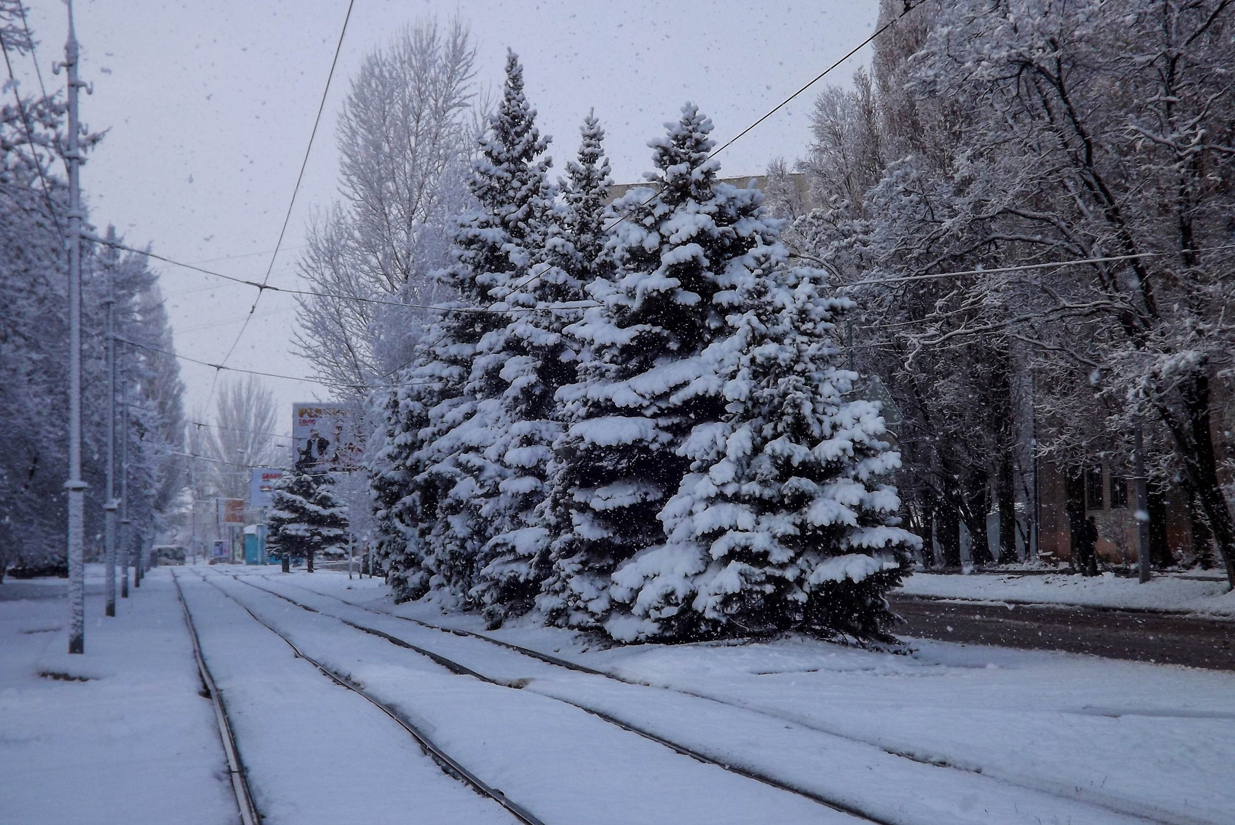 Зима не за горами... Зима, Таганрог