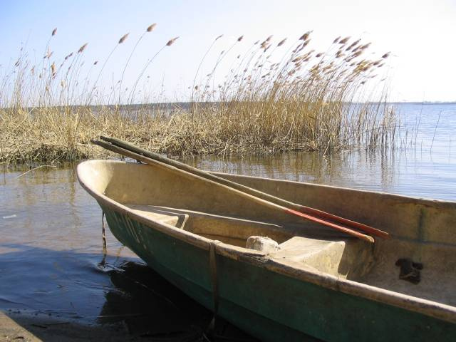 Мечта городского жителя лодка, камыш, залив