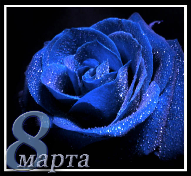 Поздравлялочка с 8 марта 8 марта любовь весна